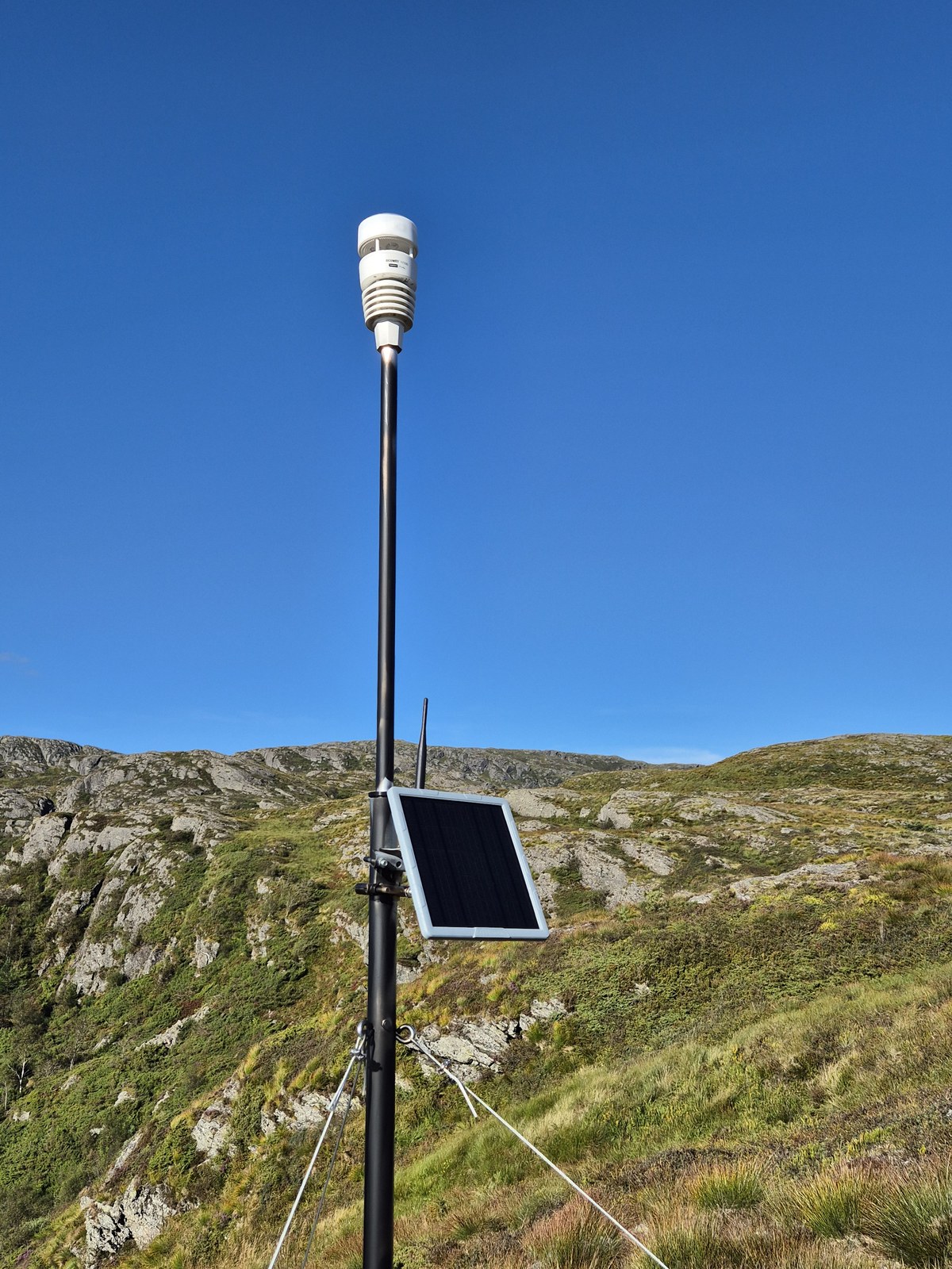 Weather sensor and solar node with solar panel on a guyed mast in the mountains.